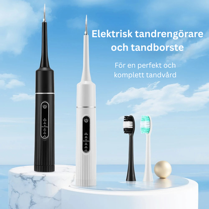 Elektrisk tandrengörare och tandborste